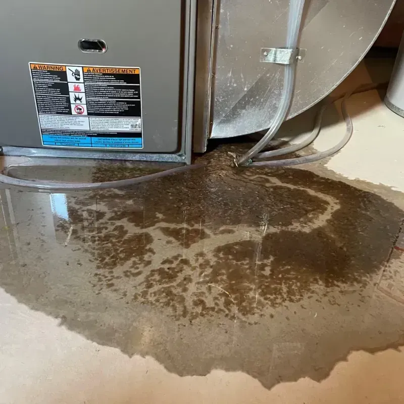 Appliance Leak Cleanup in Pell Lake, WI